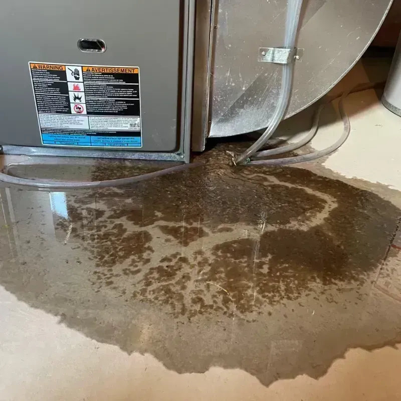 Appliance Leak Cleanup in East Saint Louis, IL